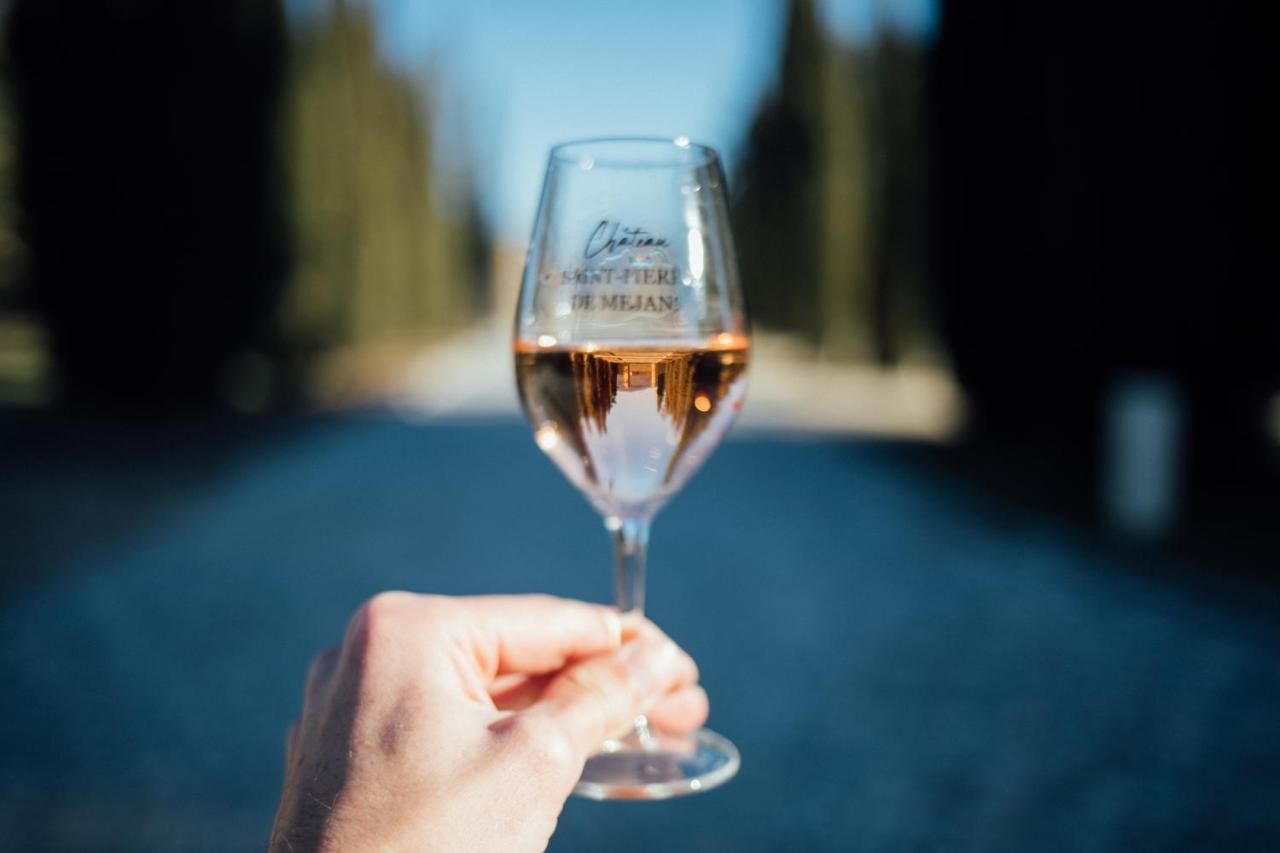 Chateau Saint-Pierre De Mejans Puyvert Екстериор снимка