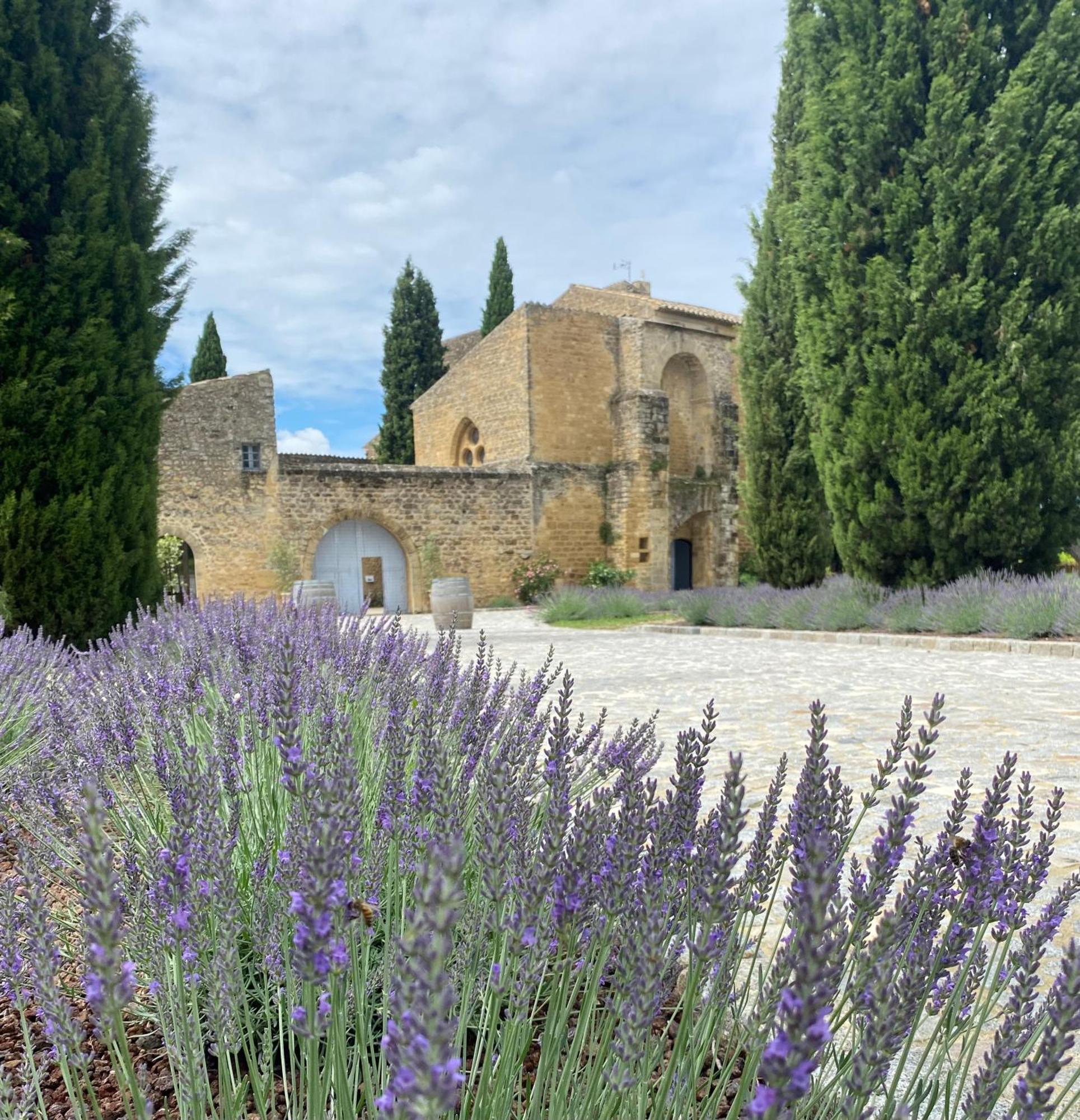 Chateau Saint-Pierre De Mejans Puyvert Екстериор снимка