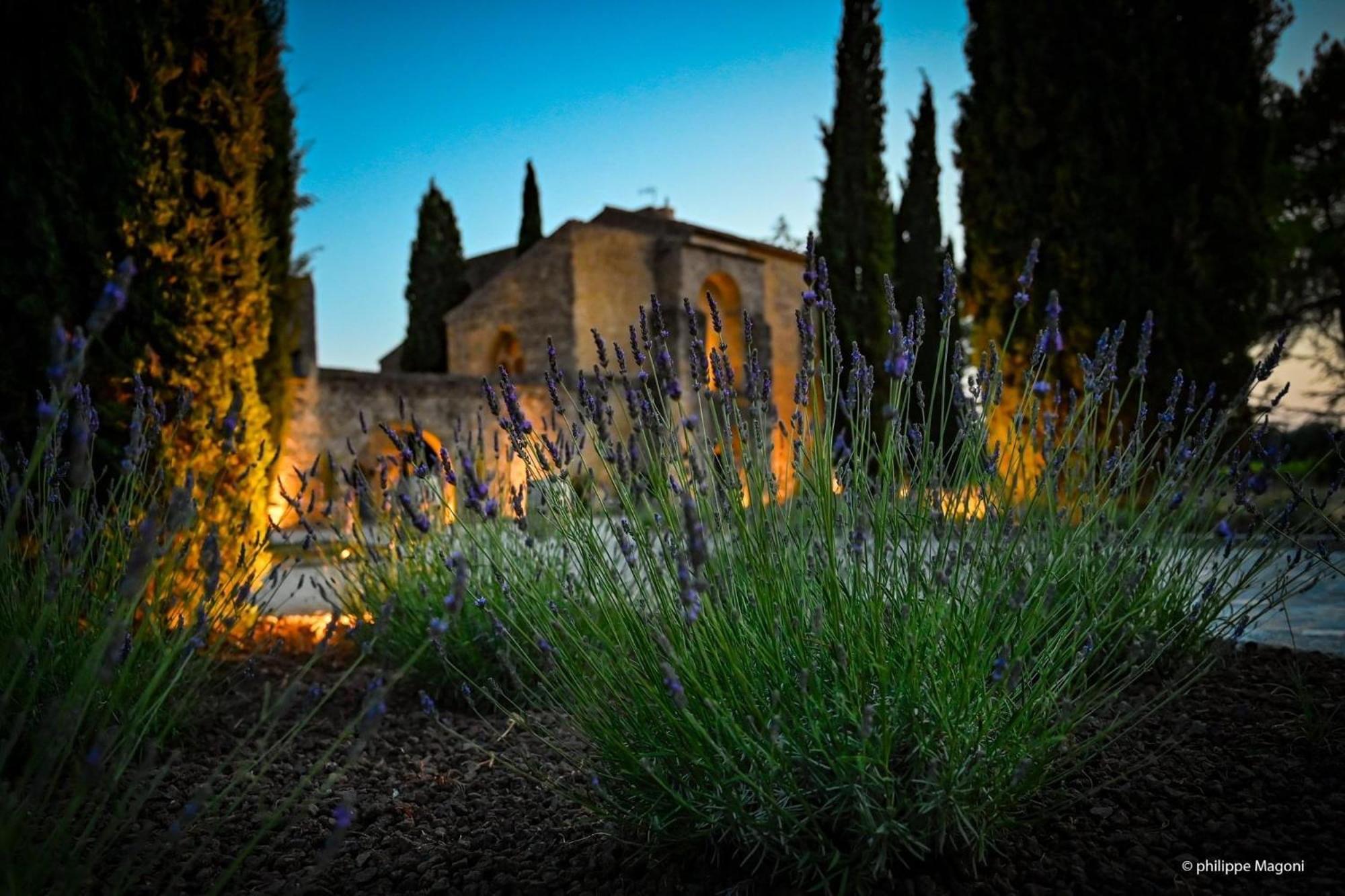 Chateau Saint-Pierre De Mejans Puyvert Екстериор снимка