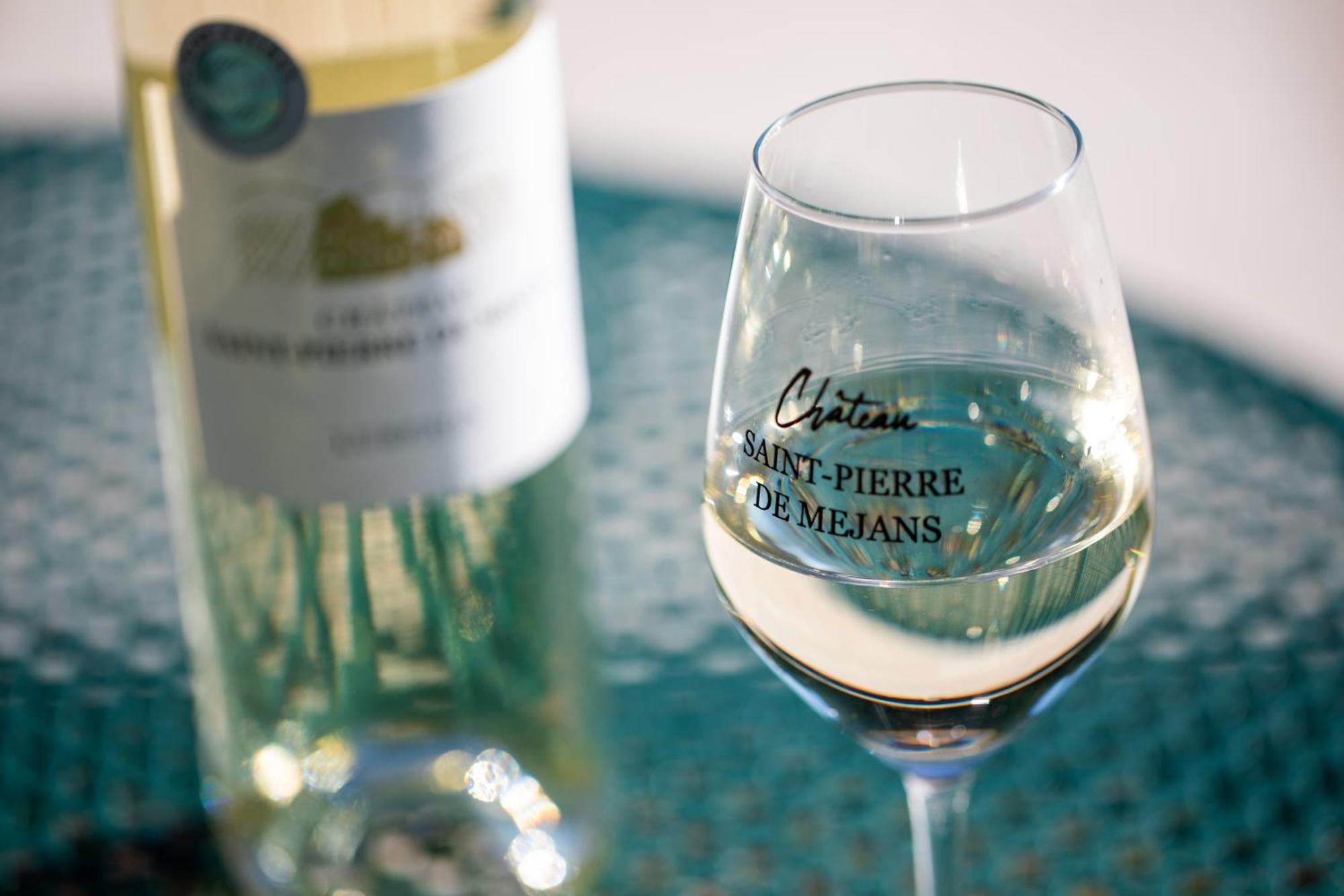 Chateau Saint-Pierre De Mejans Puyvert Екстериор снимка